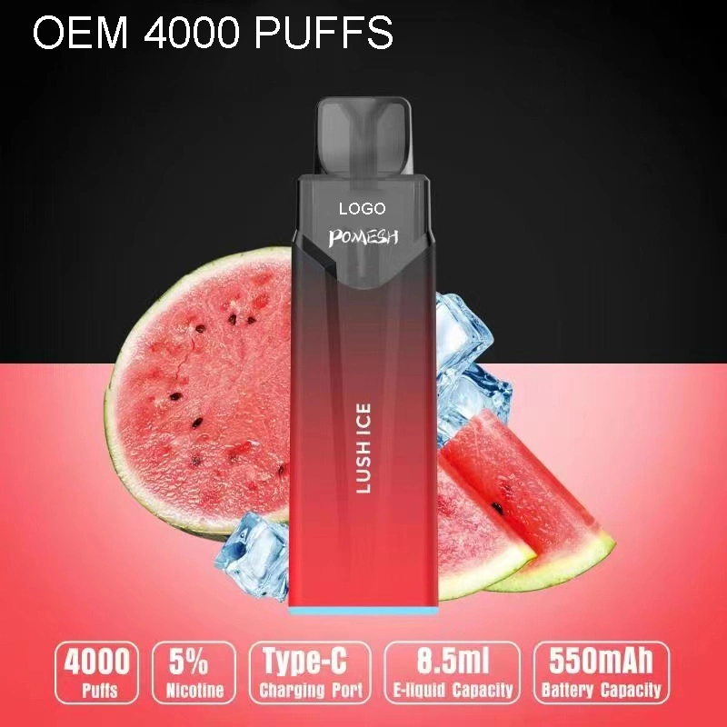 High Appearance Level and High Quality Wholesale Disposable Vape Pen OEM 4000 Puffs