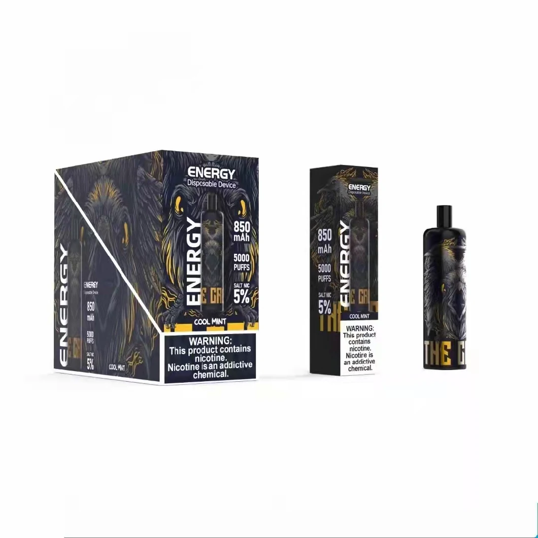 Wholesale Mesh Coil 12flavors E-Cigarette Disposable Vape Rechargeable Battery 5000puffs