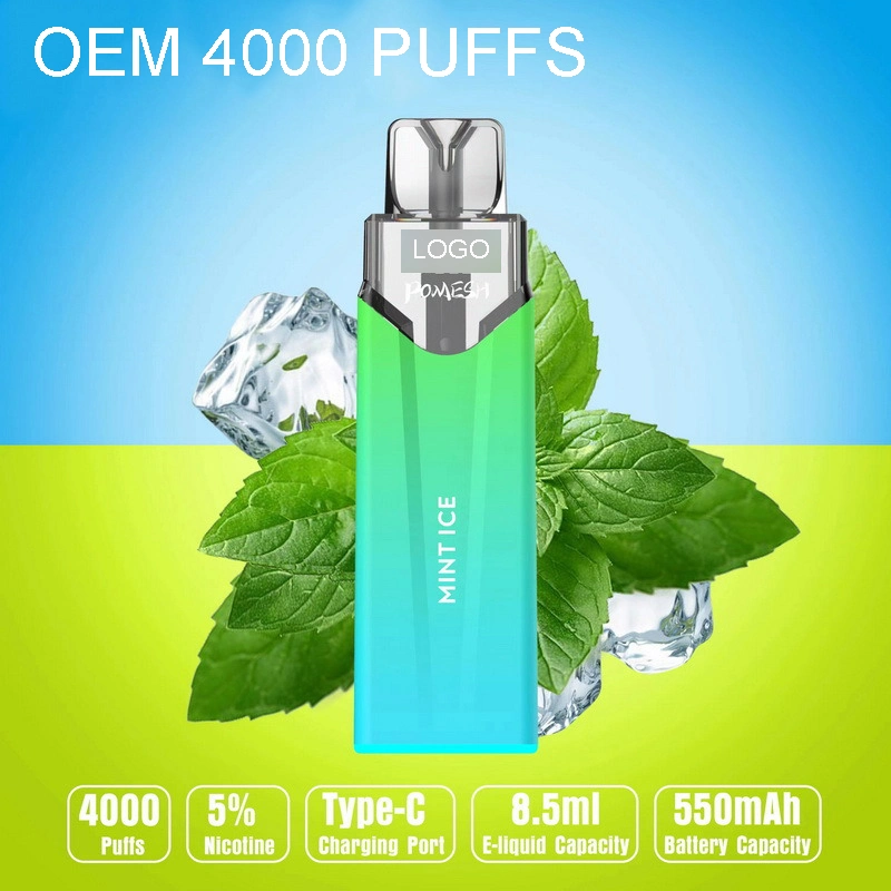 High Appearance Level and High Quality Wholesale Disposable Vape Pen OEM 4000 Puffs