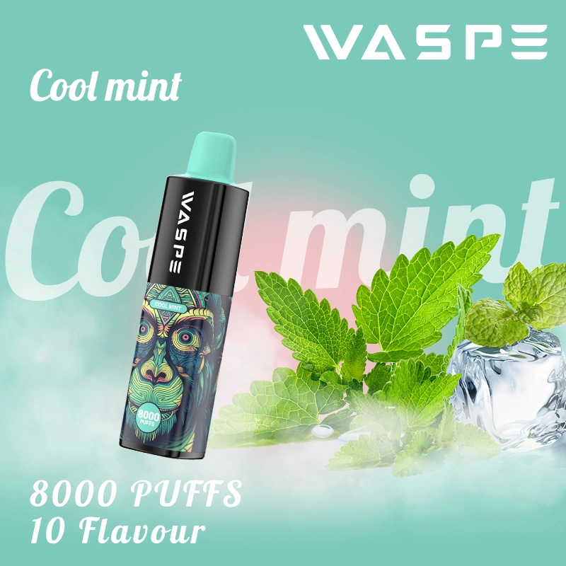 Waspe 8000puffs 5% Nicotine Disposable Vape Pen 16ml E-Liquid Ecig with Wholesale Price