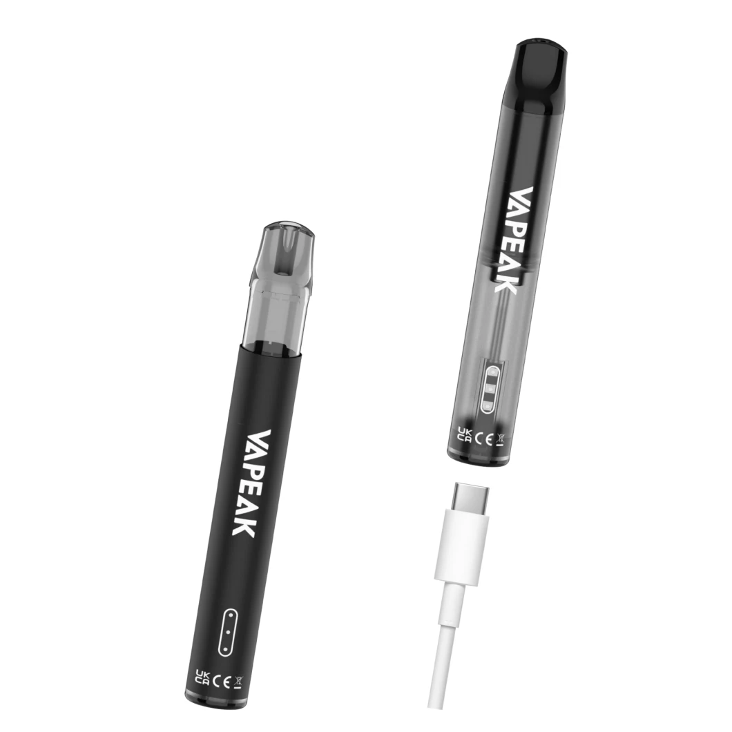 Disposable Vape 600puffs Electronic Cigarette Replaced Pod 500mAh Prefilled Ejuice 2ml Pod Kit